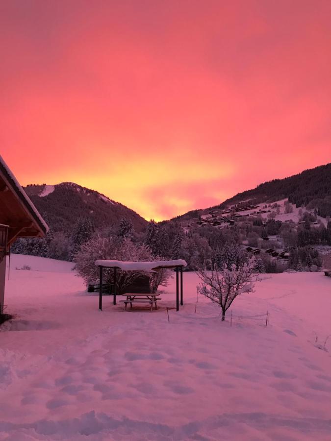 Appartement Chalet La Merlerie Morzine Buitenkant foto