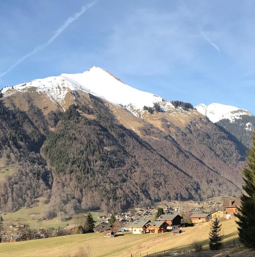 Appartement Chalet La Merlerie Morzine Buitenkant foto