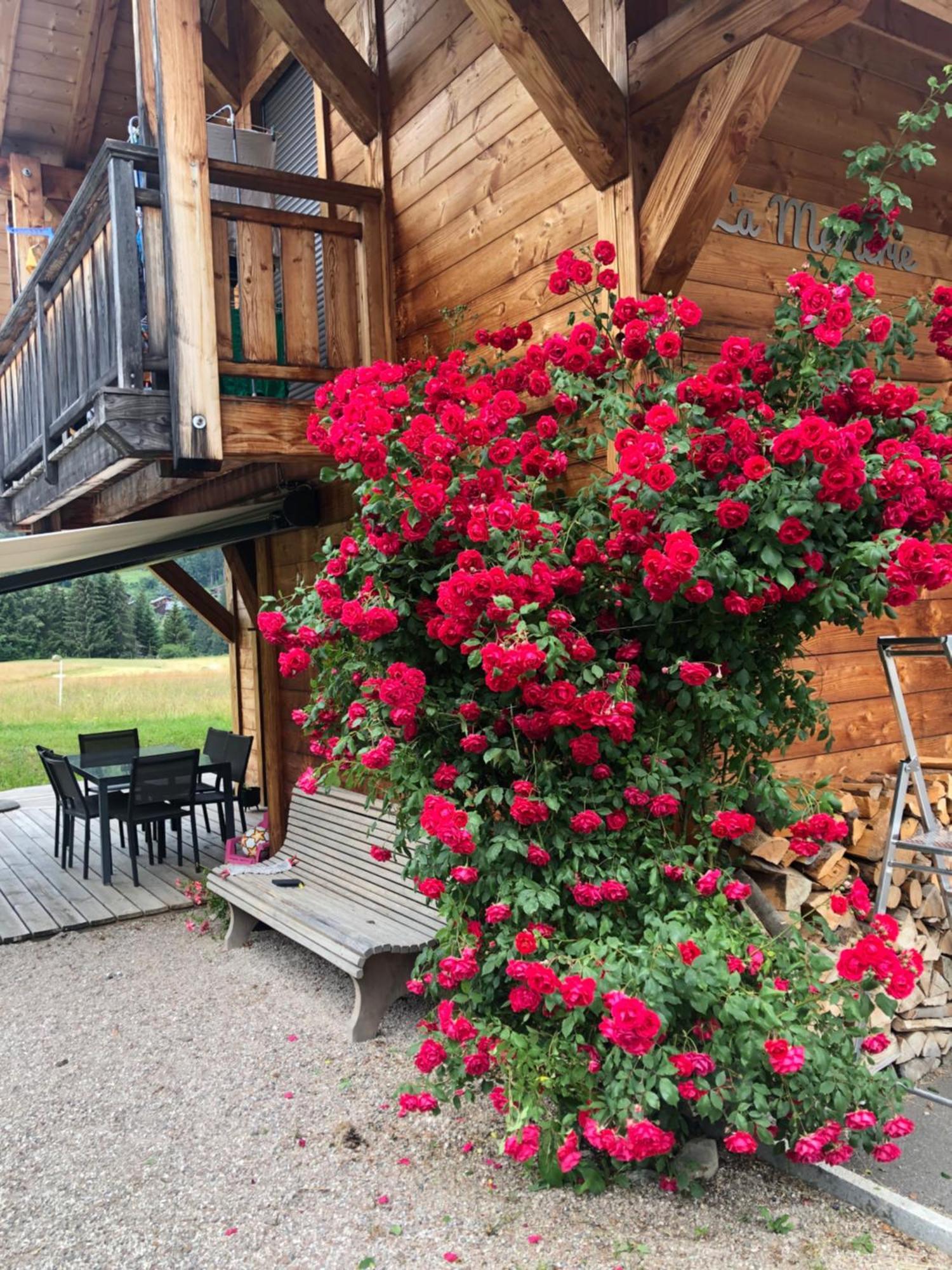 Appartement Chalet La Merlerie Morzine Buitenkant foto
